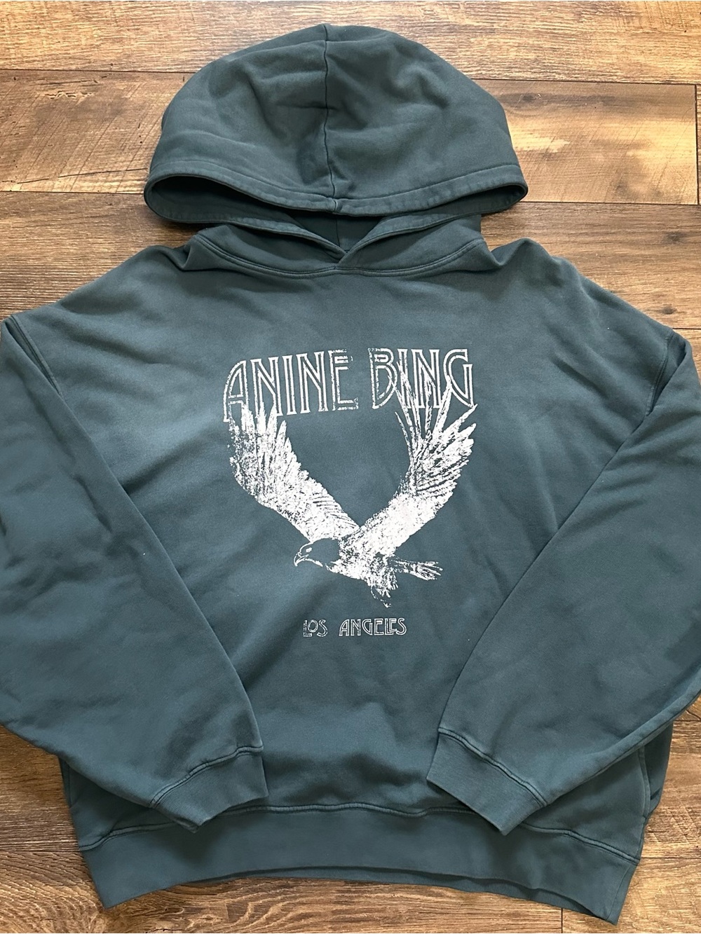 Anine Bing Ash Eagle Hoodie